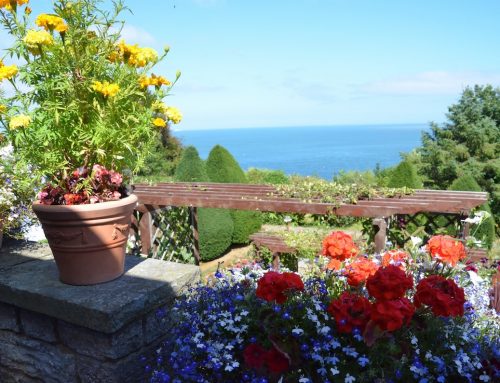 Views Across the Gardens to the Sea at Luccombe Hall Hotel, Isle of Wight