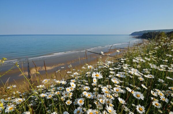 Cliff Top View, Lake, Isle of Wight