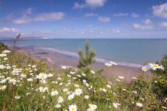 Shanklin&rsquo;s sandy beach from the clifftop