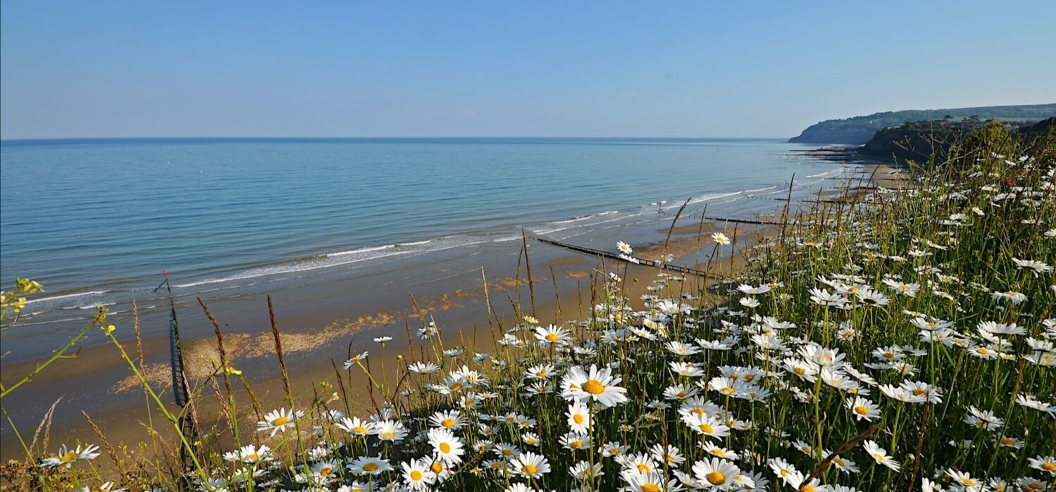- Shanklin Traditional Old Village