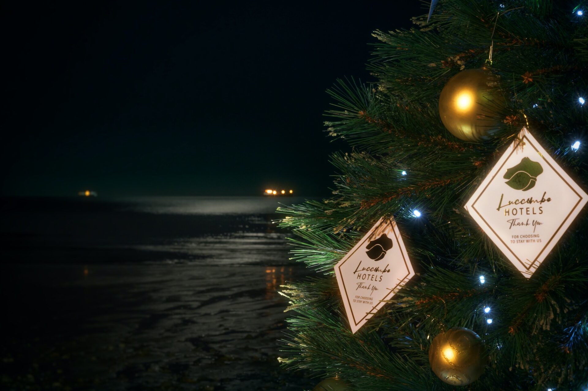 Christmas Break - The Luccombe Hotels Christmas tree, hung with gift tags, glowing beside the sea at night